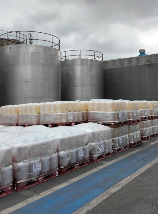 Quy trình và nhà máy sản xuất Hongcho tại Hàn Quốc: Điều gì tạo nên chất lượng của thương hiệu giấm trái cây nổi tiếng?